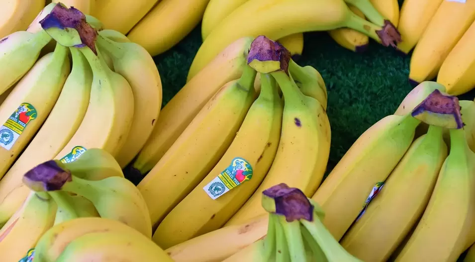 Bananen zum Ankurbeln